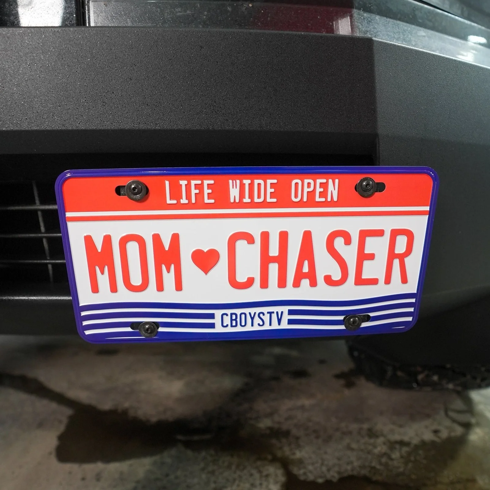 Mom Chaser License Plate - Image 2